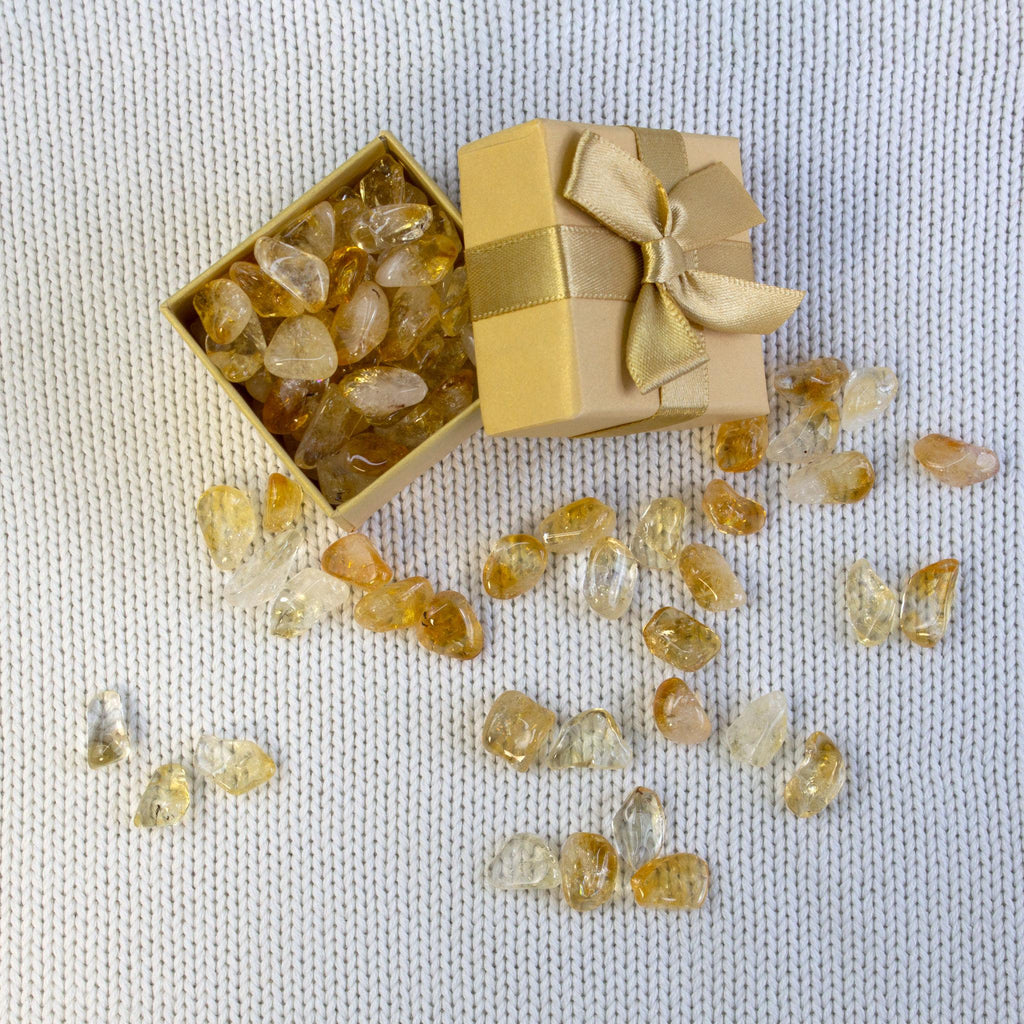 Pre - Order - Money Magnet Kit